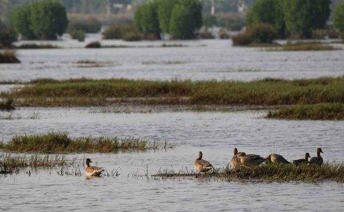 Munderi Kadavu Bird Sanctuary holiday packages.